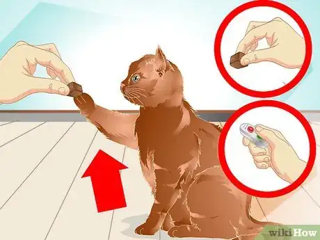 Image titled Teach a Cat to "High Five" Step 24